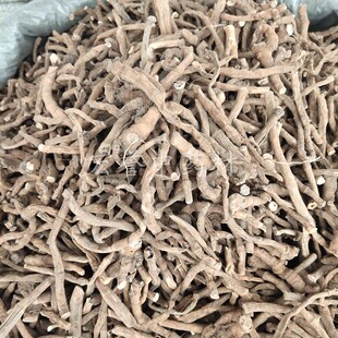 三白草根中药材  500克包邮 无硫三白草百节藕 白花莲 塘边藕