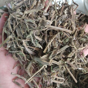 过塘蛇 过沟龙 过江藤 过江龙黄花水龙 台湾水龙过江藤 500克包邮