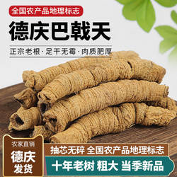 正宗德庆巴戟天药材野生杜仲牛大力薯肉苁蓉锁阳泡酒水男士煲汤料