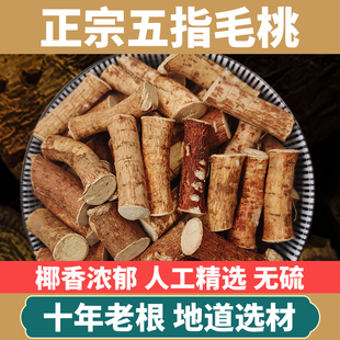 广东野生五指毛桃中药材根天然椰香煲汤料土茯苓新鲜正宗农家干货
