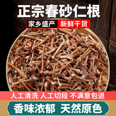 正宗野生春砂仁根阳春春砂仁干根煲汤煮水农家自晒砂仁根