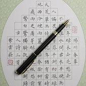 紫云庄硬笔书法钢笔成人中小学生专用练字弯头暗尖美工钢笔有笔锋