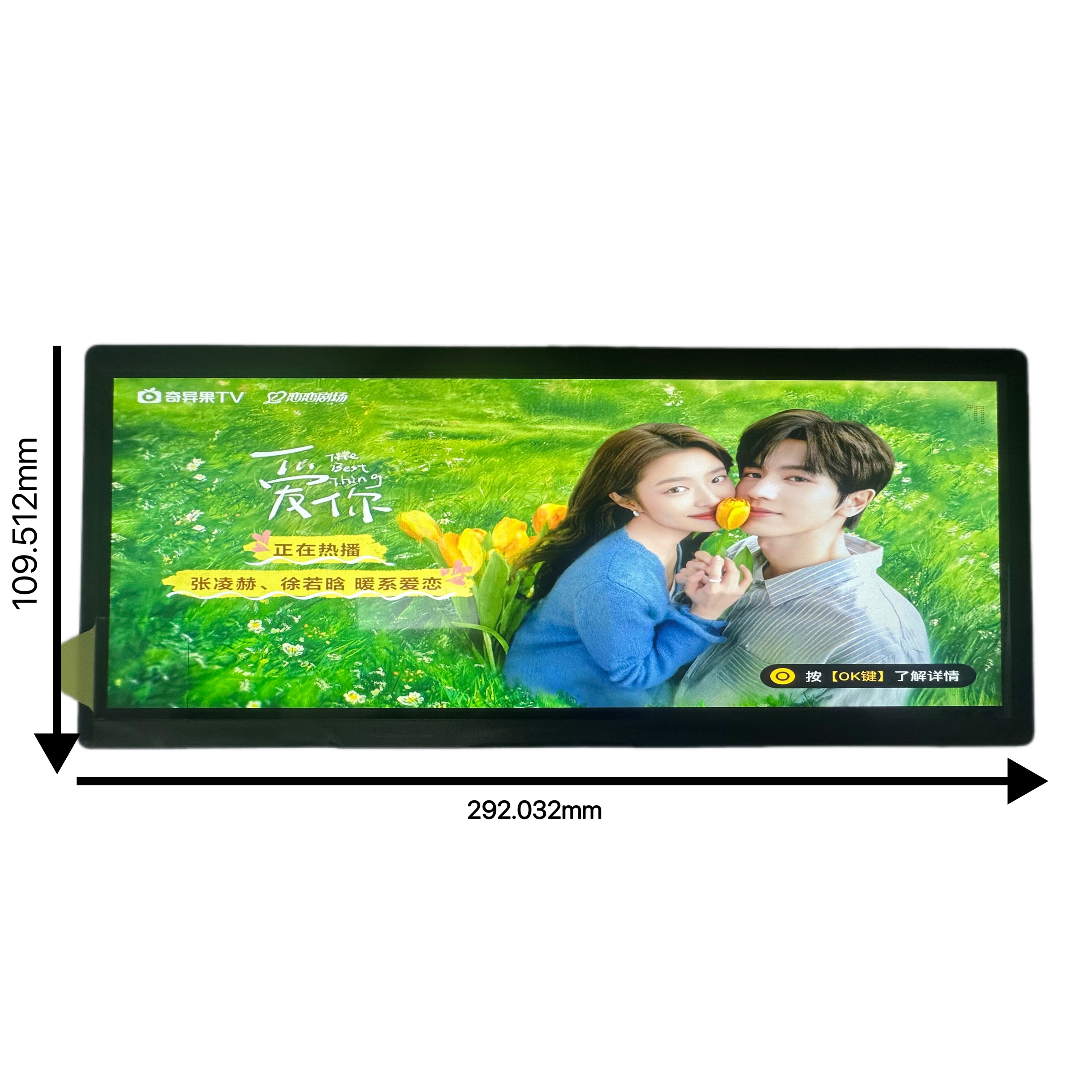 AV123Z7M-N14 12.3寸高亮宽温工业户外屏 车载屏 1920x720