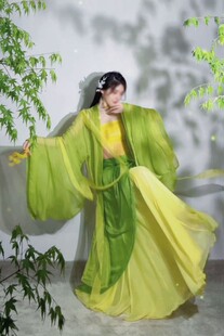 醉青烟舞蹈服小橙子同款长款非汉服仙气古典舞演出服女飘逸大摆裙