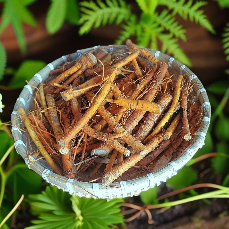 桑树根煲骨头汤泡水喝