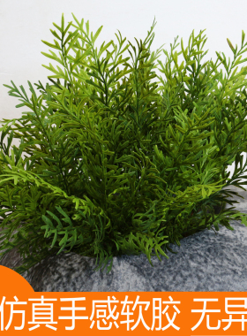 仿真绿植蕨类鹿角蕨蕨草塑料造景波斯叶假蕨类装饰肾蕨软胶手感
