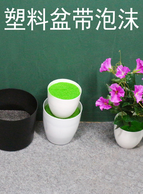 自带泡沫塑料花盆方便好用便宜