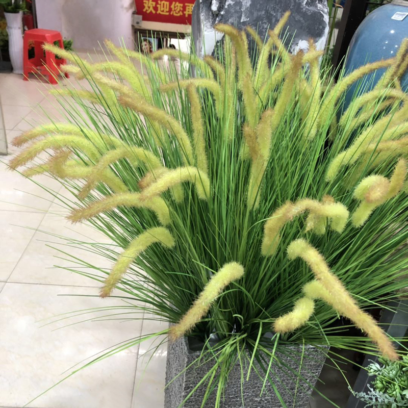 仿真狗尾巴草毛茸茸草芦苇草狗尾草狗尾植物草本植物湿地绿植洋葱-封面