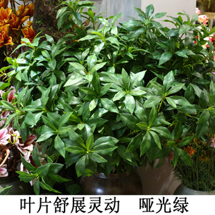 高仿真马醉木吊钟叶网红绿植高级仿生绿植塑料叶子假花塑料花绿叶