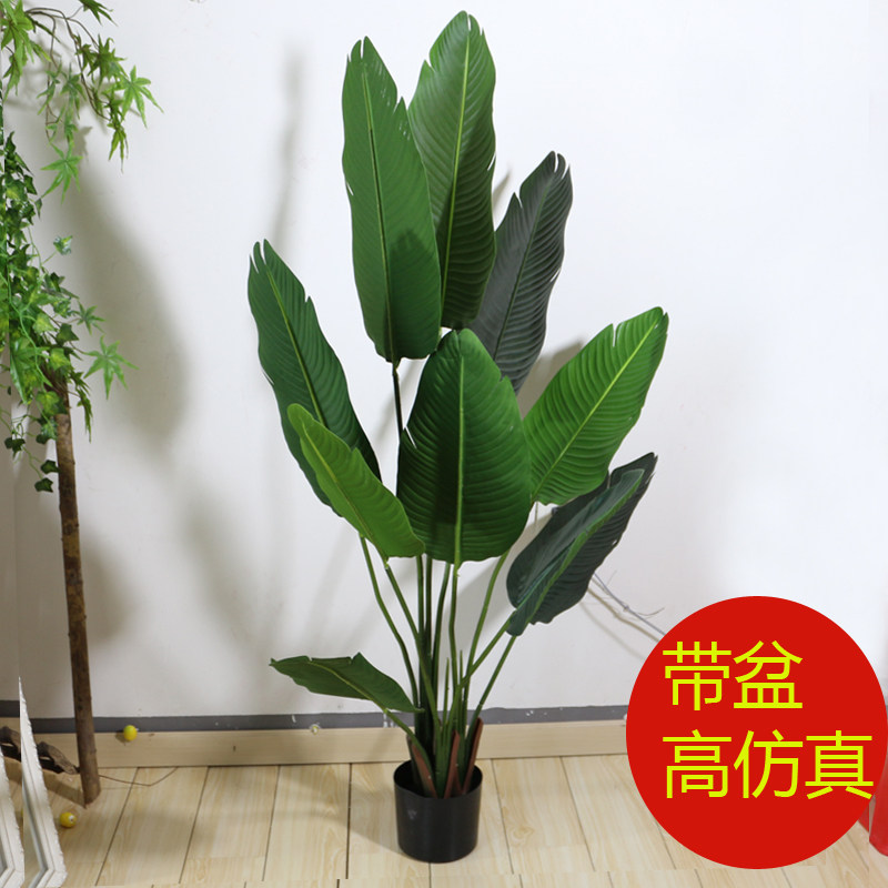 北欧仿真绿植旅人蕉巴蕉树香蕉树大绿植盆景天堂鸟大树落地摆放