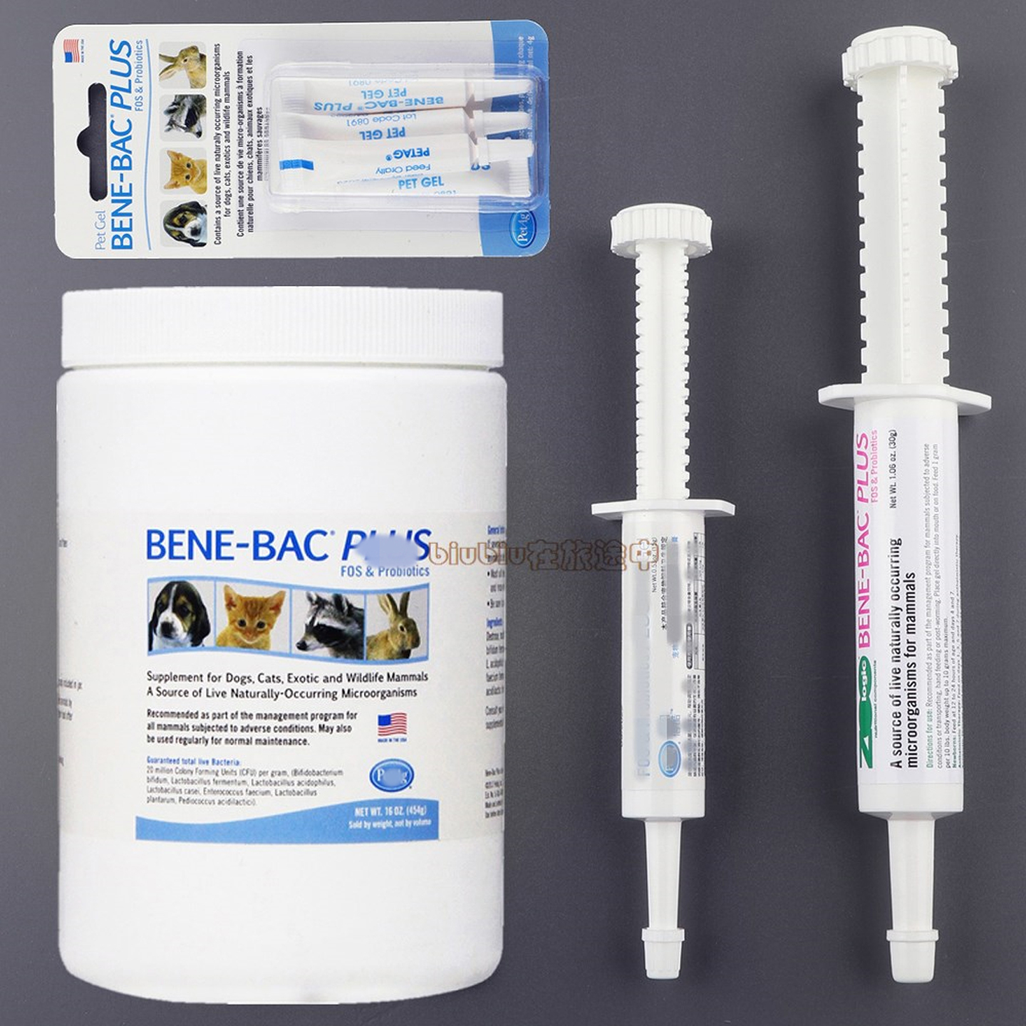 美国帮你壮粉益生菌凝胶膏15g/30g仓鼠兔子豚鼠龙猫肠胃软便保健
