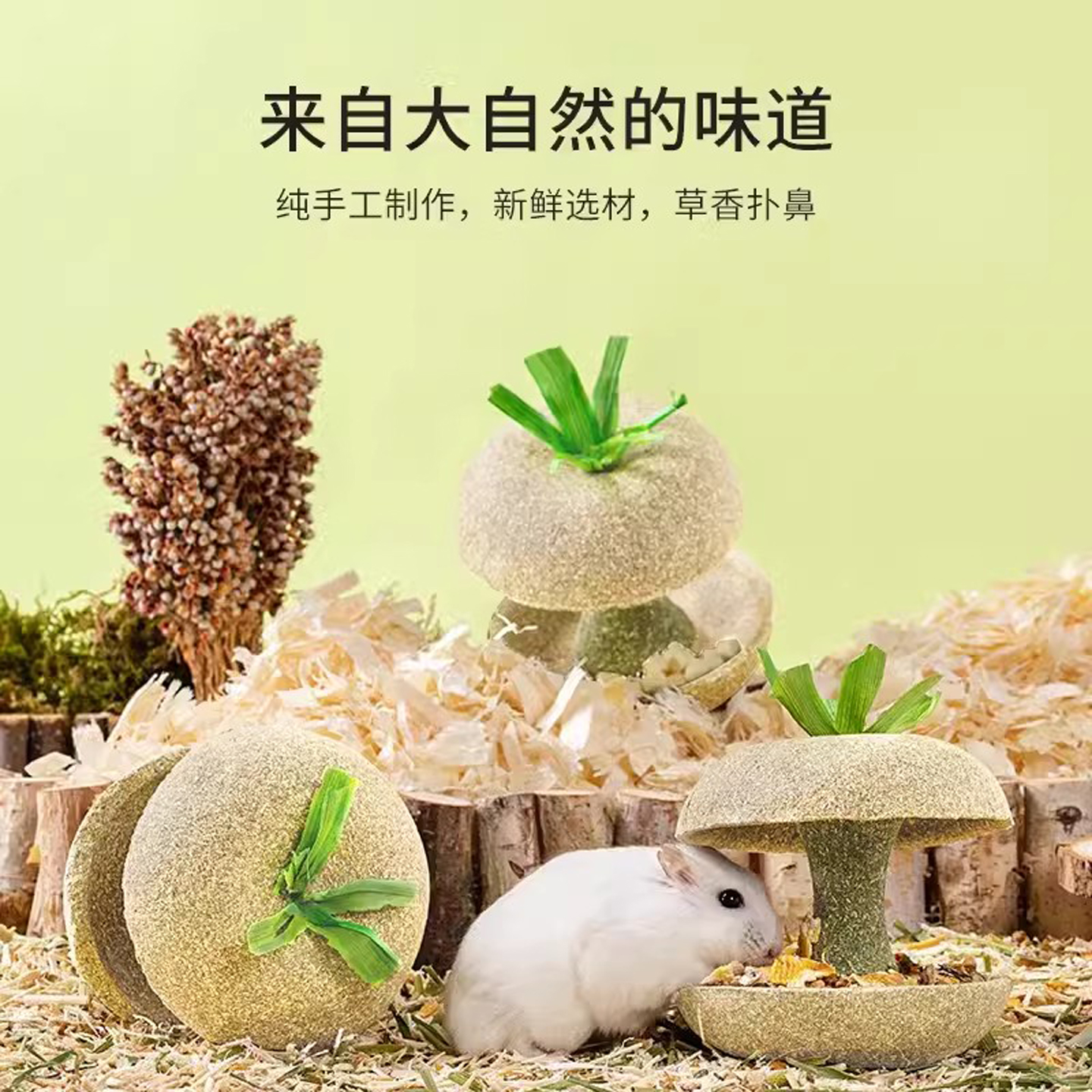卡诺仓鼠苹果核营养小零食磨牙