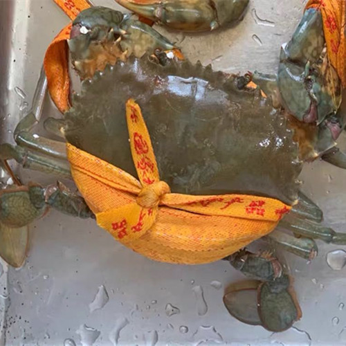 鲜活三门膏蟹两只杭州闪送
