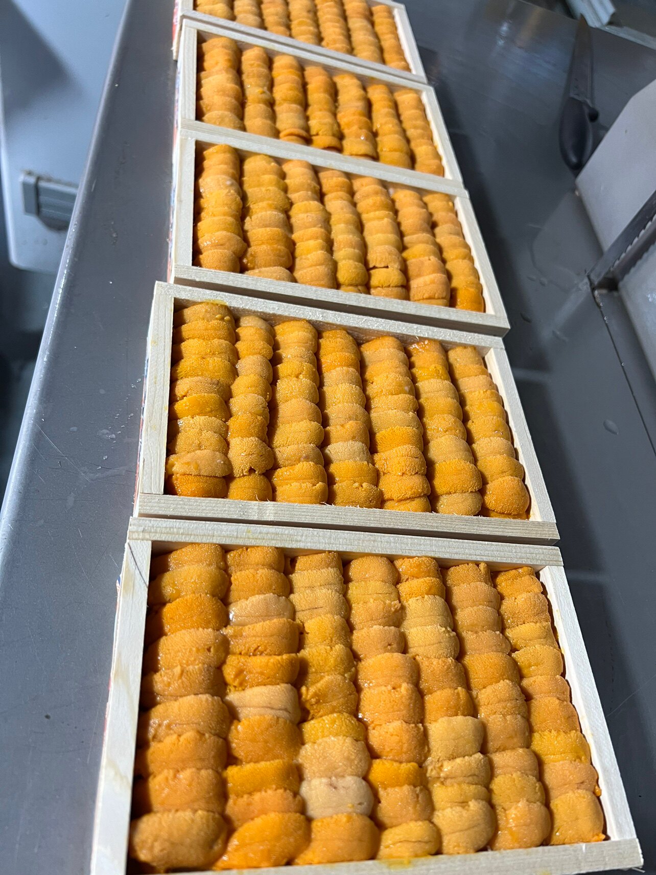 大连马粪海胆肉新鲜海胆180克