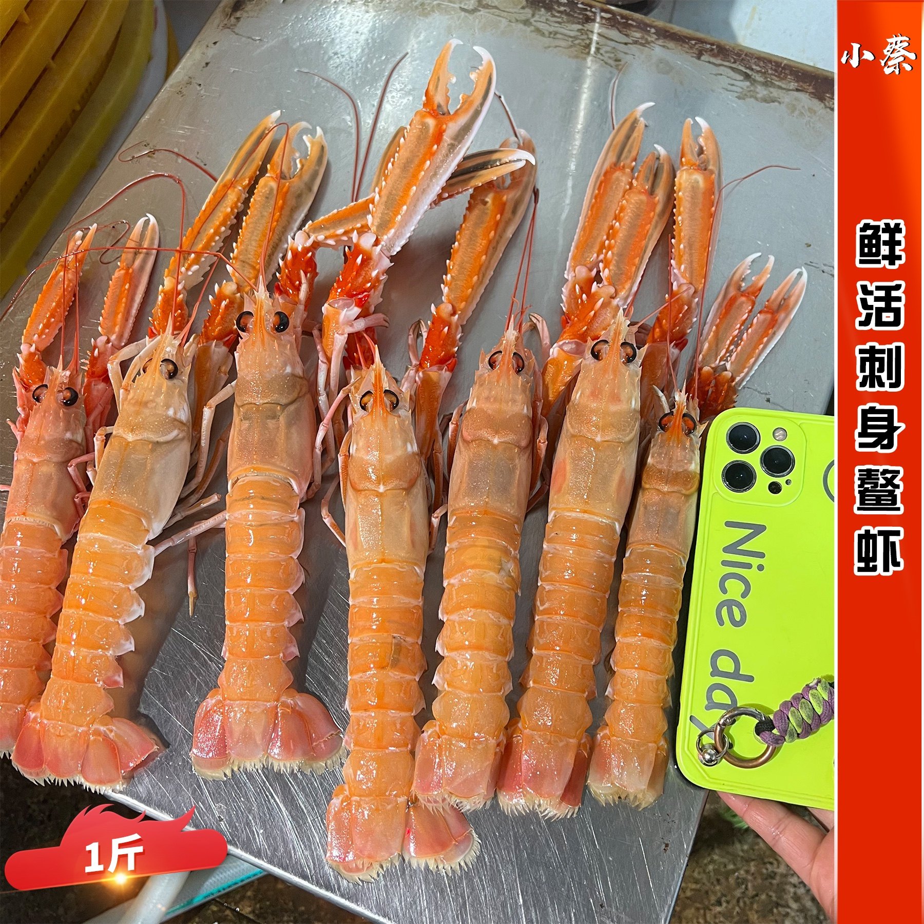 鲜活鳌虾海鲜水产铁甲虾刺身龙虾新鲜 海鳌虾 牡丹虾甜虾刺身海鲜