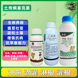 耕芭槟榔灌根药促生根套餐根腐烂根槟榔黄化病杀菌营养促生长套餐