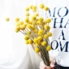 Товары от 笨拙的象 Les Fleurs