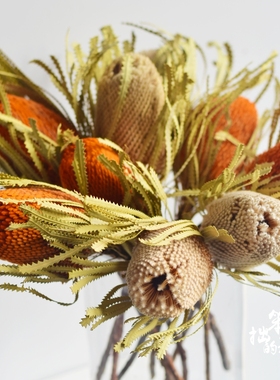 班克木干花橙色南非进口北欧天然复古森系文艺干燥花佛塔摄影道具