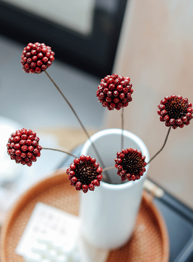 相思红豆花球 艺术干花小清新花艺软装搭配插花圣诞节ins拍摄道具