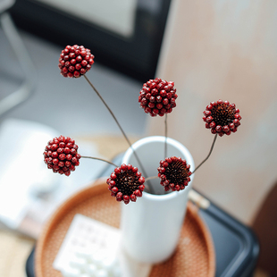 相思红豆花球 搭配插花圣诞节ins拍摄道具 艺术干花小清新花艺软装