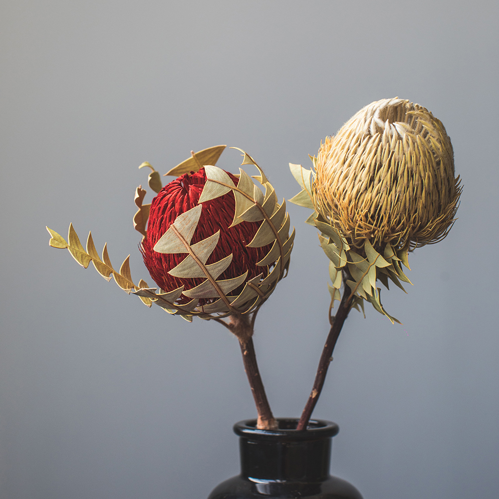 进口班克木干花高端澳洲贝克斯天然干燥花客厅装饰北欧道具佛塔花