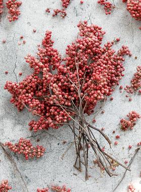 巴西胡椒果进口干花相框diy植物标本高级感装饰摆件粉红色小浆果