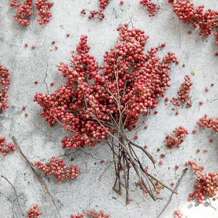 巴西胡椒果进口干花相框diy植物标本高级感装 饰摆件粉红色小浆果