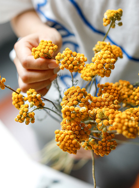 天然黄色干花花束diy材料配花配草装饰摆件客厅摆设黄金纽扣真花
