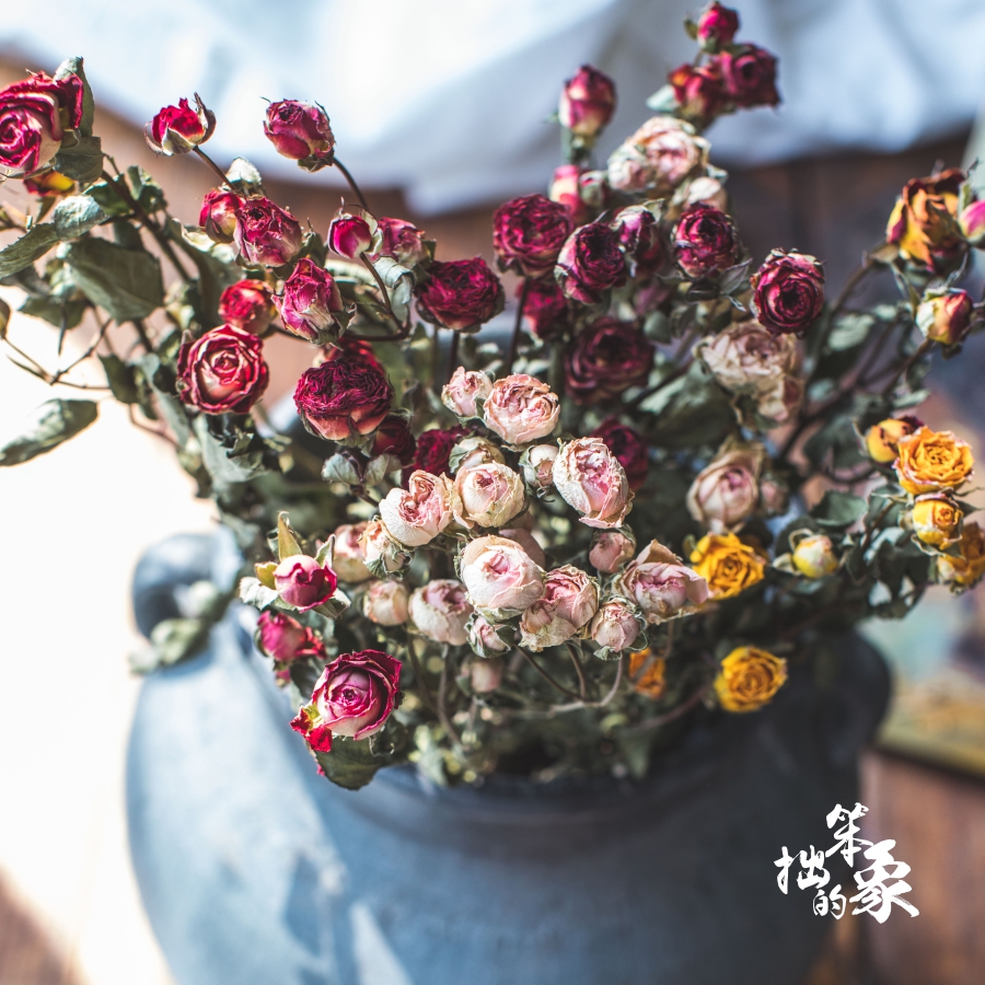网友分享在meiguo.com上的图片