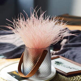 墨西哥羽毛草干花进口永生花公主房间装 仙气满满迷雾草 饰民宿软装