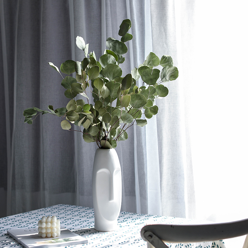 苹果叶尤加利叶干花真花风干文艺现代森系桌子摆件装饰叶子干燥花