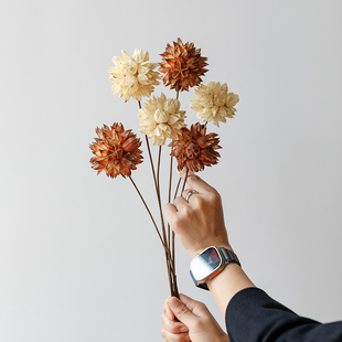 北欧轻奢天然洛神花干花高级感真花花球艺术插花家居客厅装 饰摆件