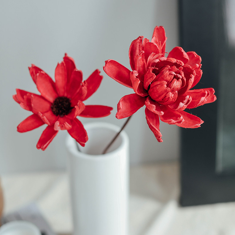 笨拙的象手工艺术果壳花白色干花原生态装饰插花摆件复古令箭荷花