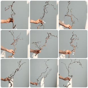 天然禅意龙枣枝一物一拍干花干枝日式侘寂风家居插花装饰摆件枯枝