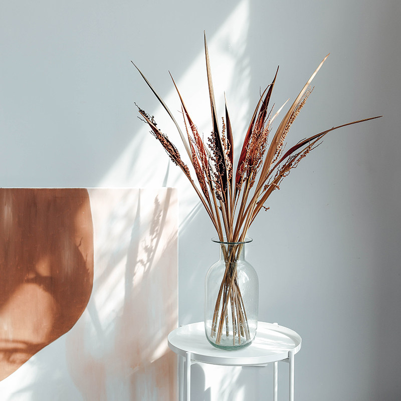 天然巴西可可叶带花进口干花高端复古侘寂风植物插花干枝装饰摆件