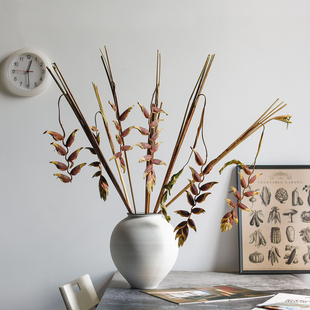 天然进口吊鸟干花侘寂风高级感家居装 展厅橱窗永生花蝎尾蕉 饰软装