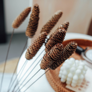 云杉松果森林系天然干花永生配花干松果文艺家居拍摄道具松果装 饰