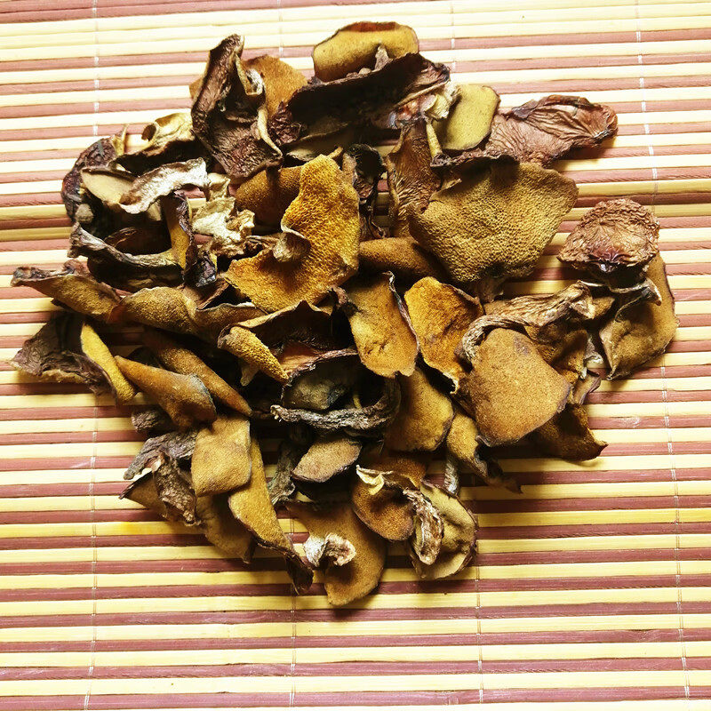 东北小鸡炖蘑菇松蘑菇松树菌菇松菇山娥子松蛾菇粘团子干货新蘑菇