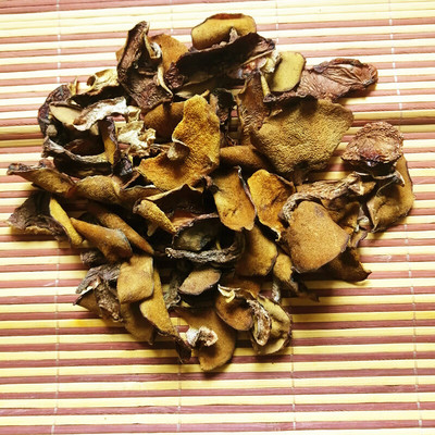 东北特产野生松蘑菇松树菌菇松菇山娥子松蛾菇粘团子干货新鲜蘑菇