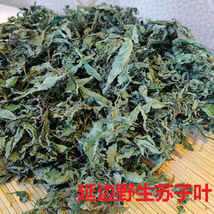 延边苏子叶臭荆芥香薷叶苏子叶干货狗酱炖汤料火锅料250g包邮农家