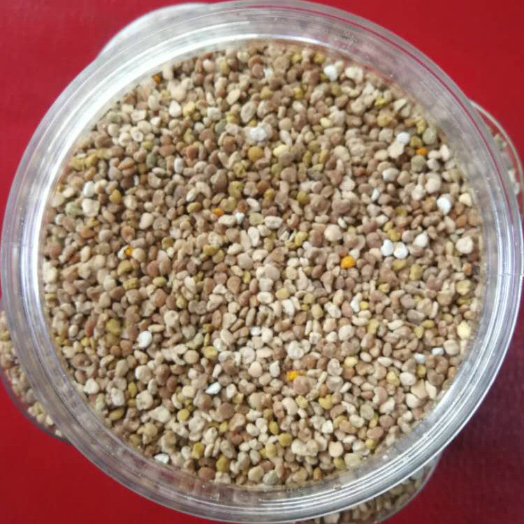 圆枣子花粉狗枣子蜂花粉丁香花粉长白山新鲜干花粉包邮百花粉