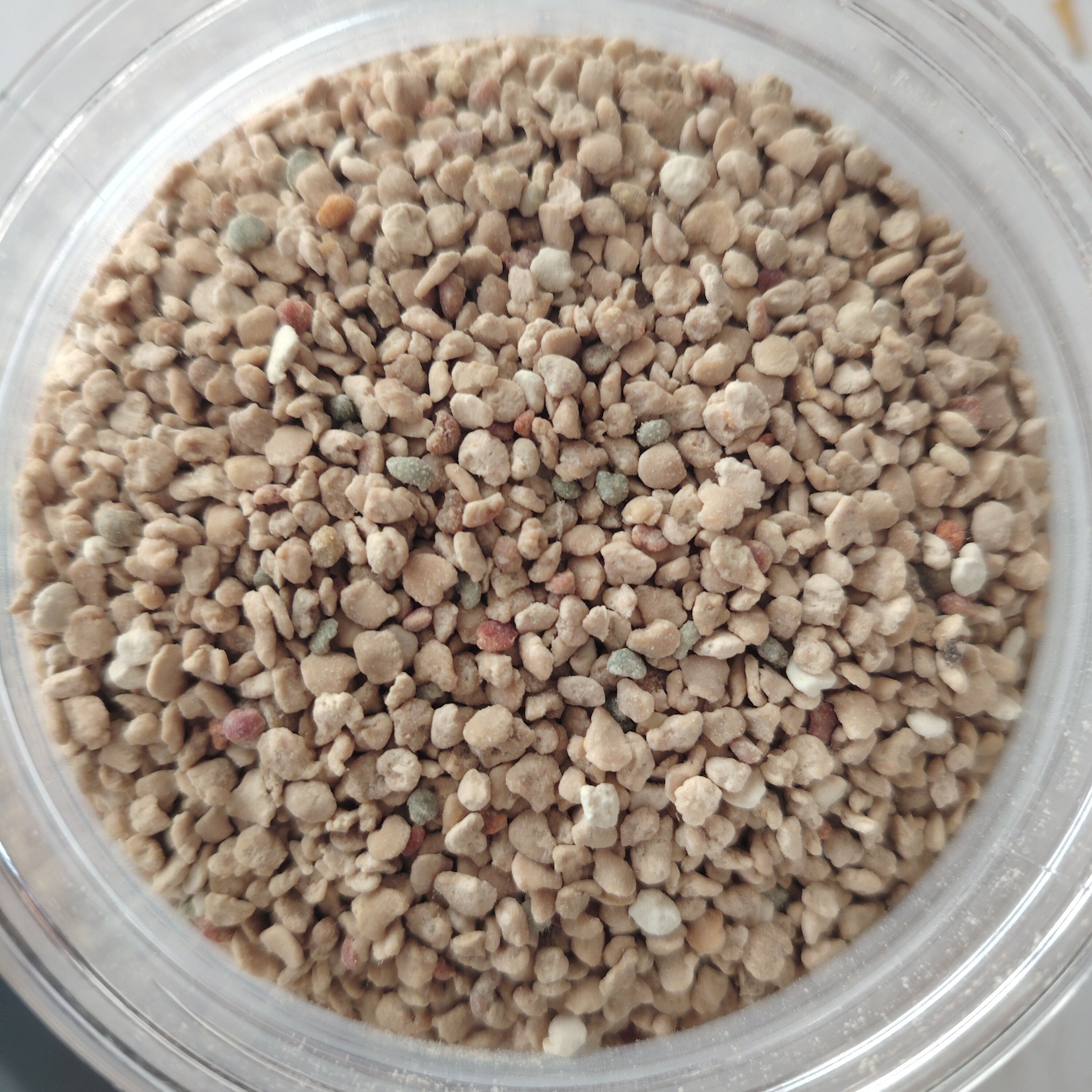 白花粉圆枣子花粉软枣子蜂花粉山花粉奶白花粉丁香花粉农家猕猴桃