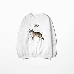 动物解析图圆领卫衣欧美风动物百科脾气暴躁的狼羊驼宠物解剖外套
