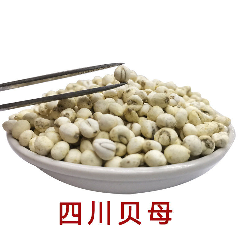 四川特产 正宗川贝母  阿坝松贝母  川贝  100克   可免费代磨粉