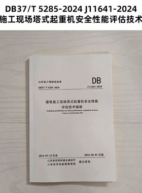 山东标准 DB37/T 5285-2024 J11641-2024 建筑施工现场塔式起重机安全性能评估技术规程  Z