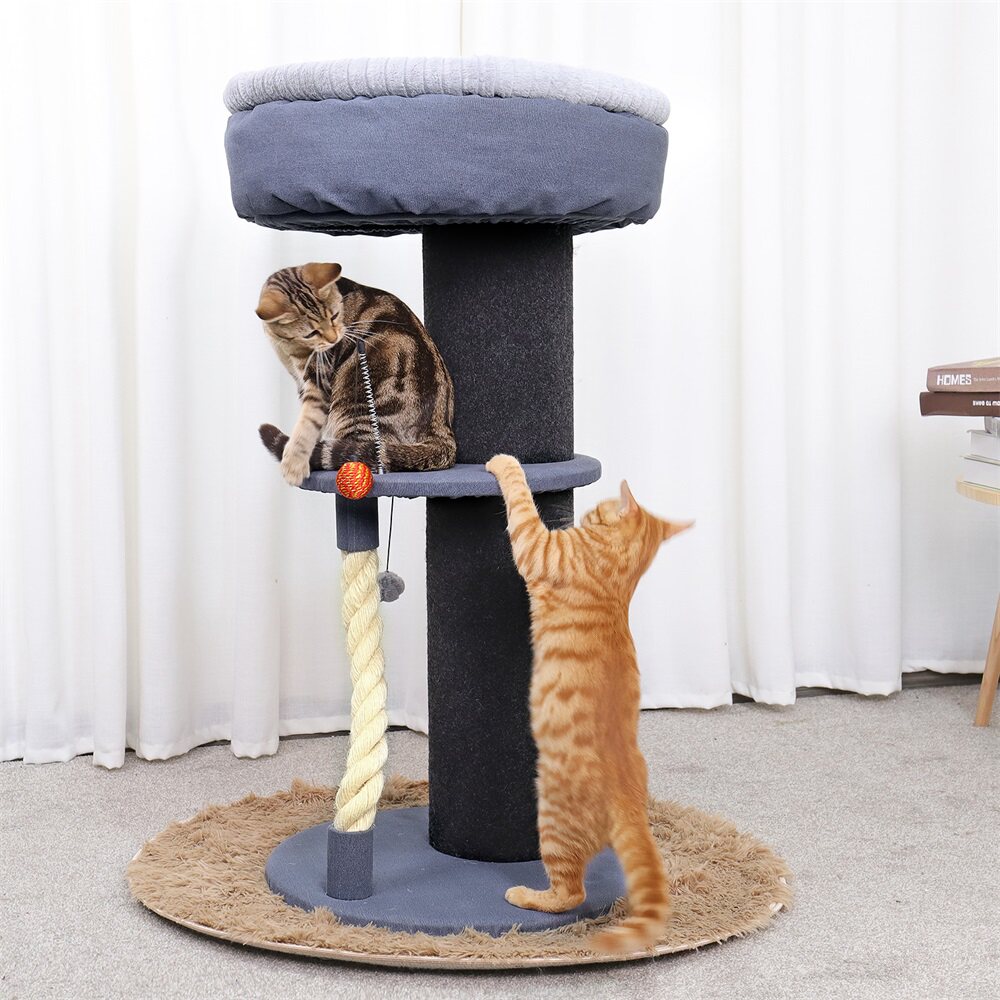 2 In 1 Minimalism Luxury Cat Toy Scratching Post Wood Climbiin the Pet/Pet food and supplies , Cat/Dog Toys , Cat Tree  category - from Buy2taobao.com to provide professional Taobao agent buy service