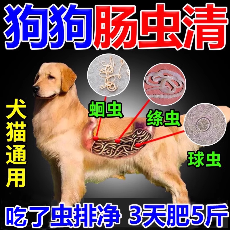 狗狗驱虫药体内打虫药泰迪金毛蛔虫球虫绦虫肠虫清宠物专用驱虫片