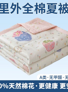 埃迪蒙托 新款夏被里外全棉新疆棉花夏凉被 亲肤透气柔软舒适被芯