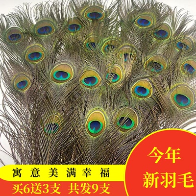 纯天然孔雀羽毛25-130cm翎尾大