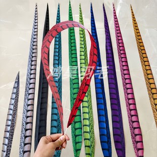 彩色仿真野鸡翎子孙悟空俏花旦京剧戏曲翎毛雉鸡羽长侧尾山鸡羽毛